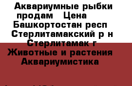 Аквариумные рыбки продам › Цена ­ 10 - Башкортостан респ., Стерлитамакский р-н, Стерлитамак г. Животные и растения » Аквариумистика   